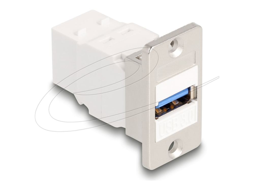 Delock Panel Mount Keystone Modul Usb 5 Gbps Typ-A Buchse Zu Usb Typ-B Buchse Konisch, Flach, Silber, Weiß, Usb A, Usb B, Weiblich, Weiblich