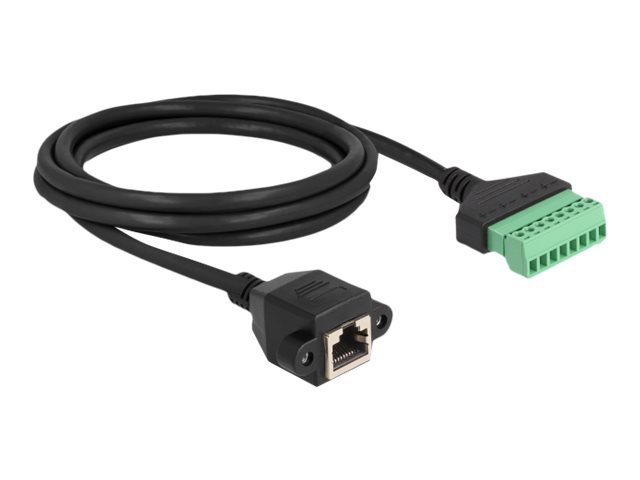 Delock Rj45 Kabel Cat.6 Buchse Zu Terminalblock Adapter Zum Einbau 2 M 2-Teilig, 2 M, Cat6, U/Utp (Utp), Rj-45, Schwarz, Grün