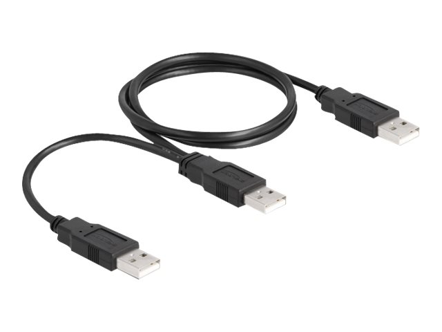 Delock - Usb-Kabel - Usb (Han) Til Usb (Han) - Usb 2.0 - 70 Cm - Sort
