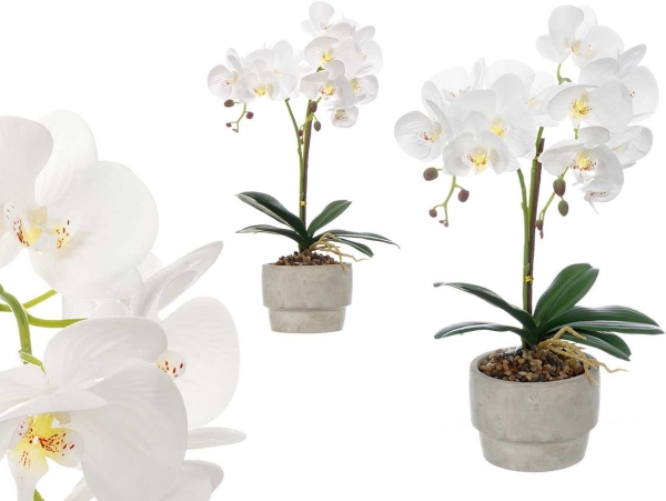 Ibergarden Künstliche Orchidee In Einem Zementtopf Orchi, 49 Cm