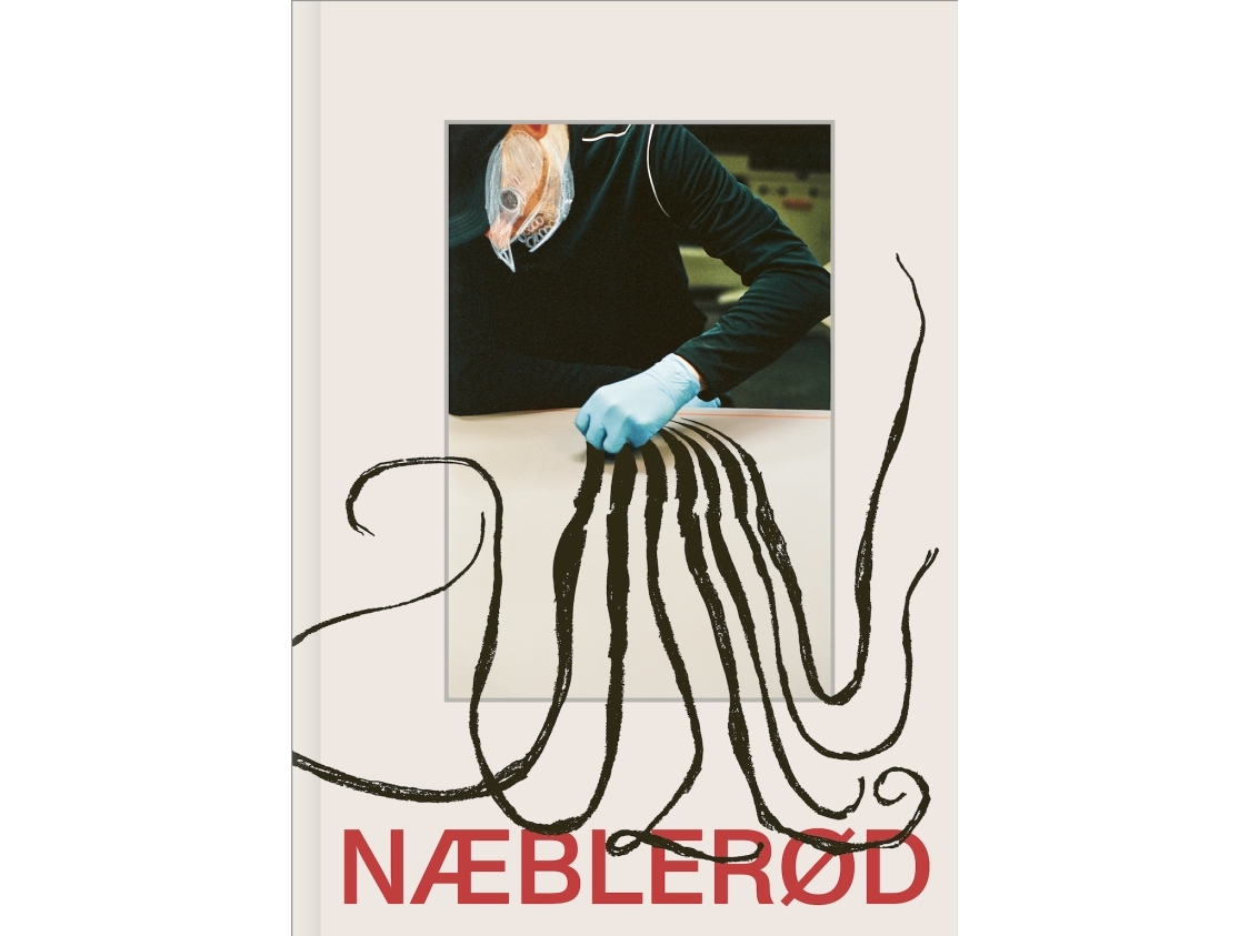 NÆBLERØD Fredrik Clement Språk: Danska | Böcker - Engelska böcker | GameStuff