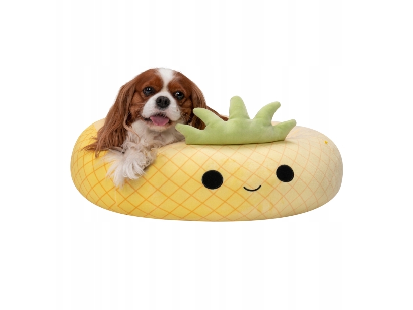 Jas Pets Legowisko M 60Cm Ananas