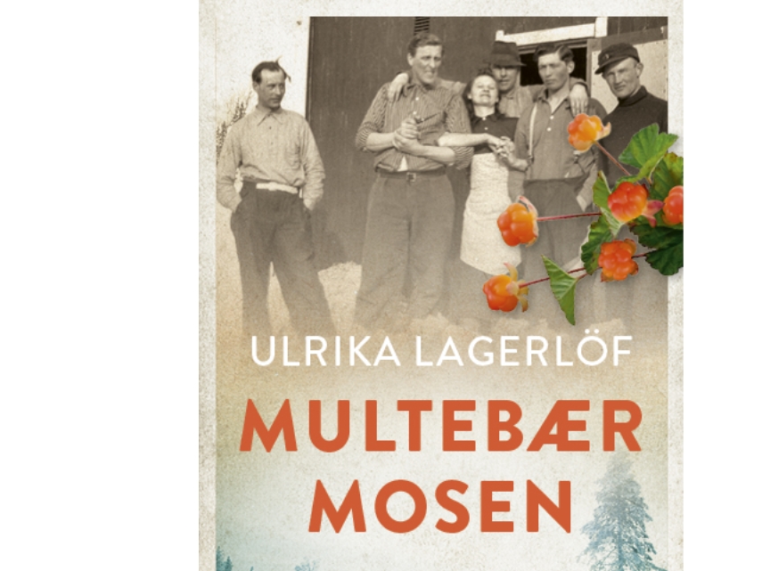 Multebærmosen | Ulrika Lagerlöf