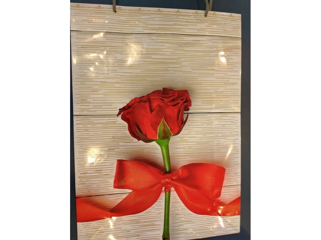 Wini Geschenkbeutel T10 L (5907803717362)