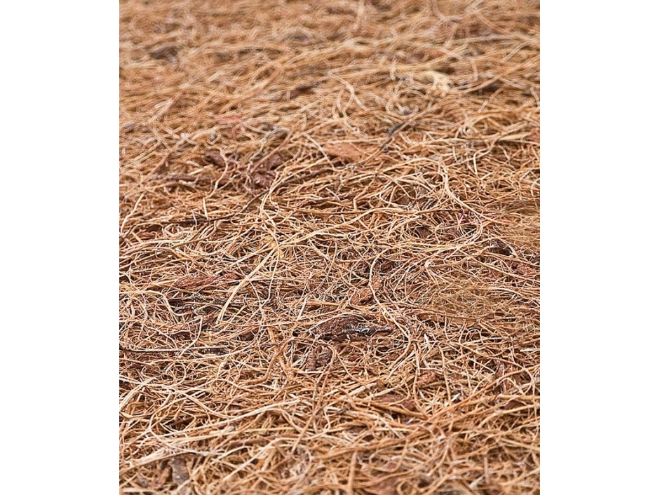 Caretero MATTRESS SENSILLO COCONUT 120X60 (5cm)