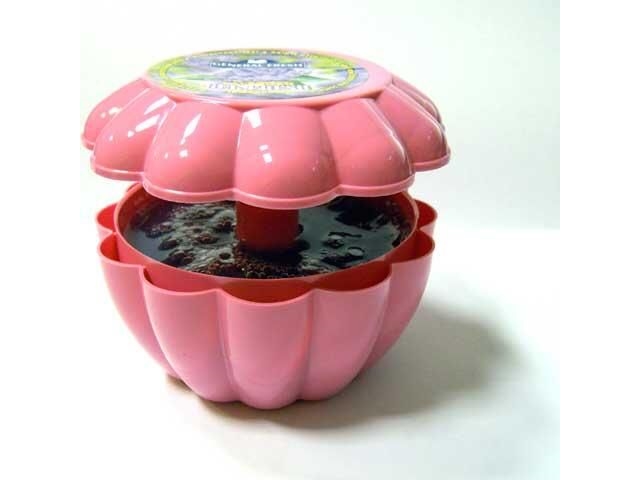 AROLA LAVENDER GEL AIR FRESHENER 150G