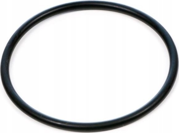 Fluval Motorpakning, O-Ring Til Filtre Fx - A20207