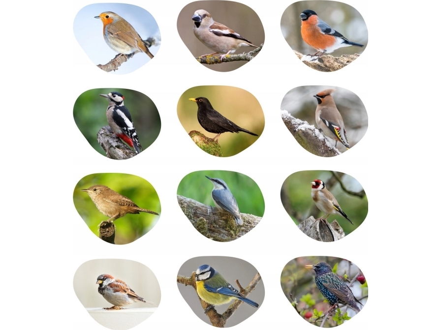 Garden&amp Fun Fågelmatare, nät, hängande, 10x10x22.5 | Sällskapsdjur - Dyr i haven - Vilda fåglar - Matare & automatiska matare, andra tillbehör | GameStuff