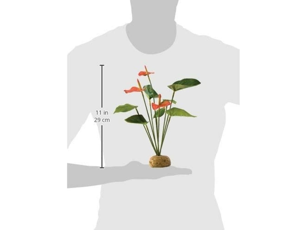 Exo Terra kunstig plante - Antharium busk