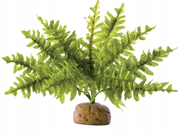 Exo Terra kunstig plante - Boston bregne, M