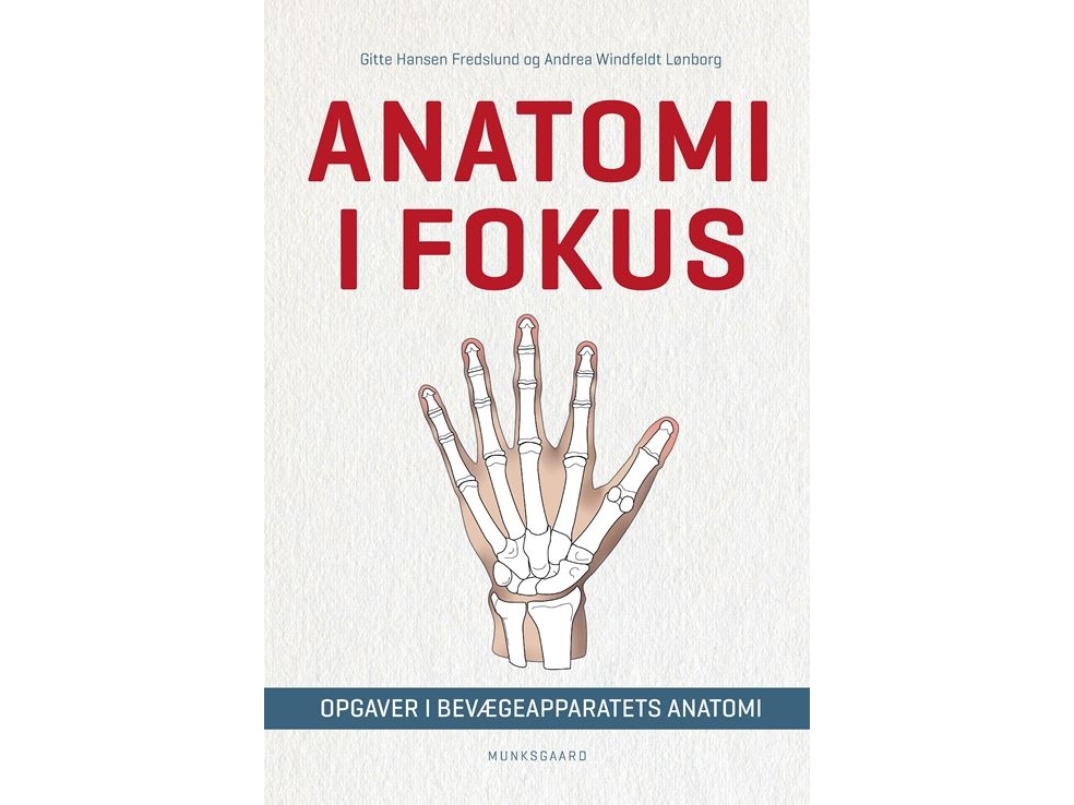 Anatomie Im Fokus | Gitte Hansen Fredslundandrea Windfeldt Lønborg | Sprache: Dänish
