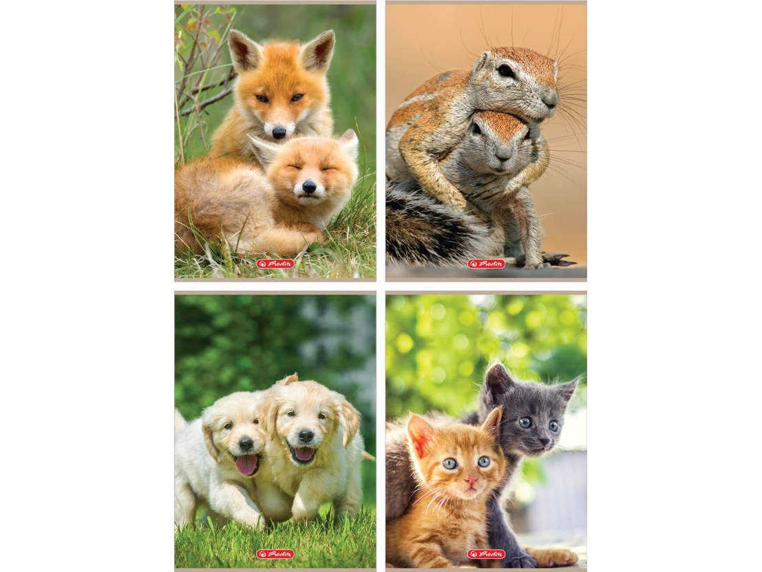 Herlitz notesbog A4/32K ternet Animals (10 stk)