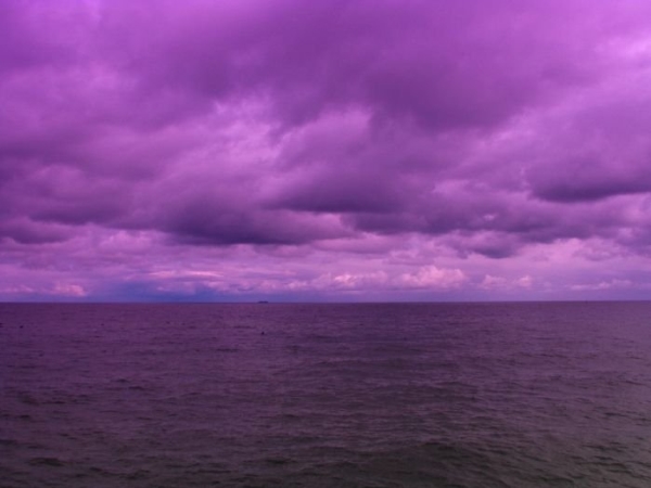 Massa Halvfilter Violet 46 Mm