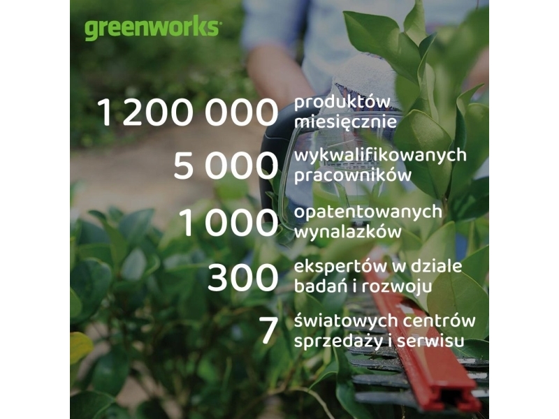 Greenworks 60 V oplader 6 A med dobbelt stik Greenworks G60x2UC6