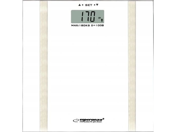 Argus Watts Thermometer