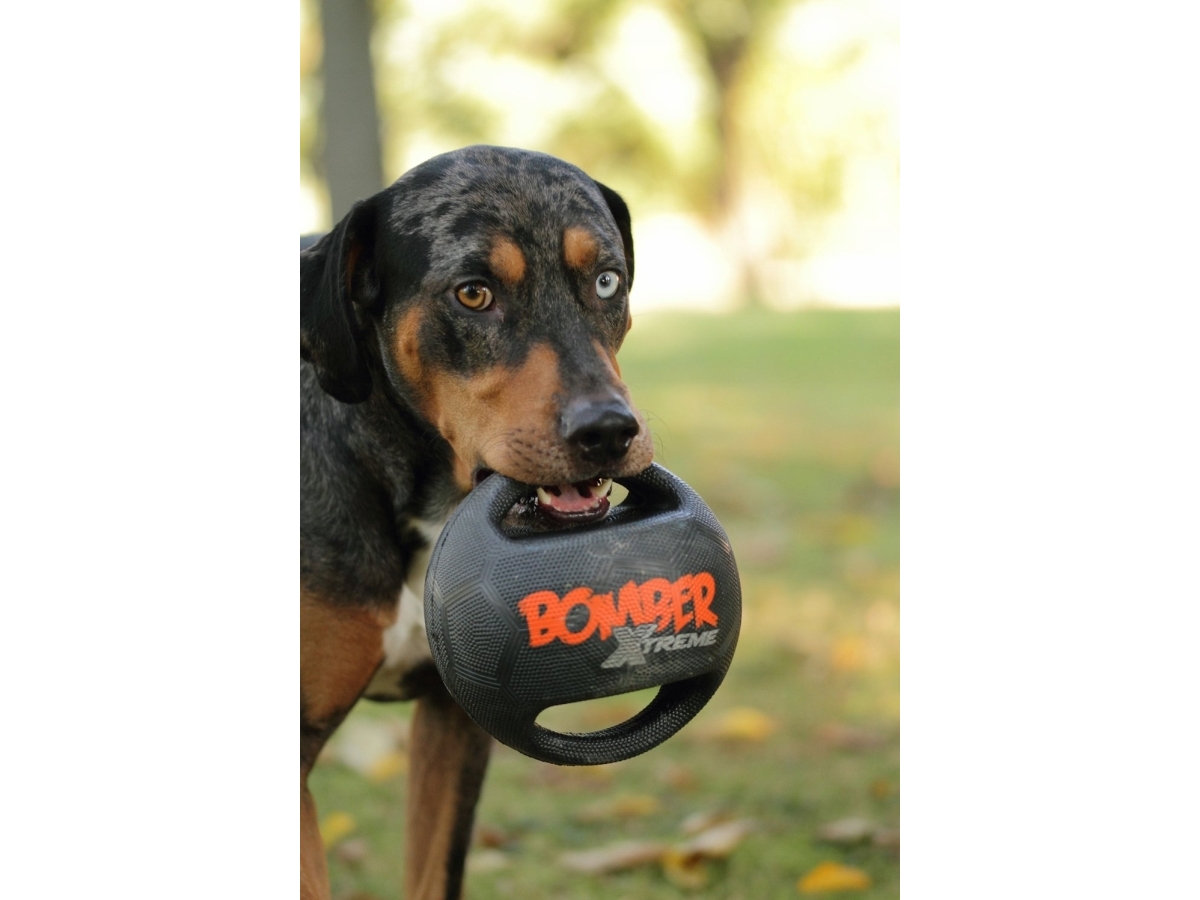 Zeus Ball Zs Xtreme Bomber, Mini, 11,5 Cm