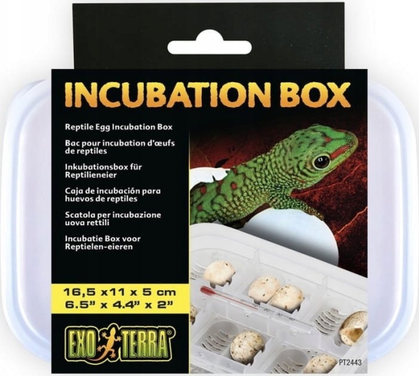 Exo Terra Inkubationsbox, 16,5 X 11 X 5Cm
