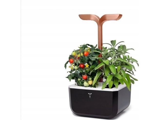 Veritable Exky Smart Pflanztopf - Schwarz & Kupfer