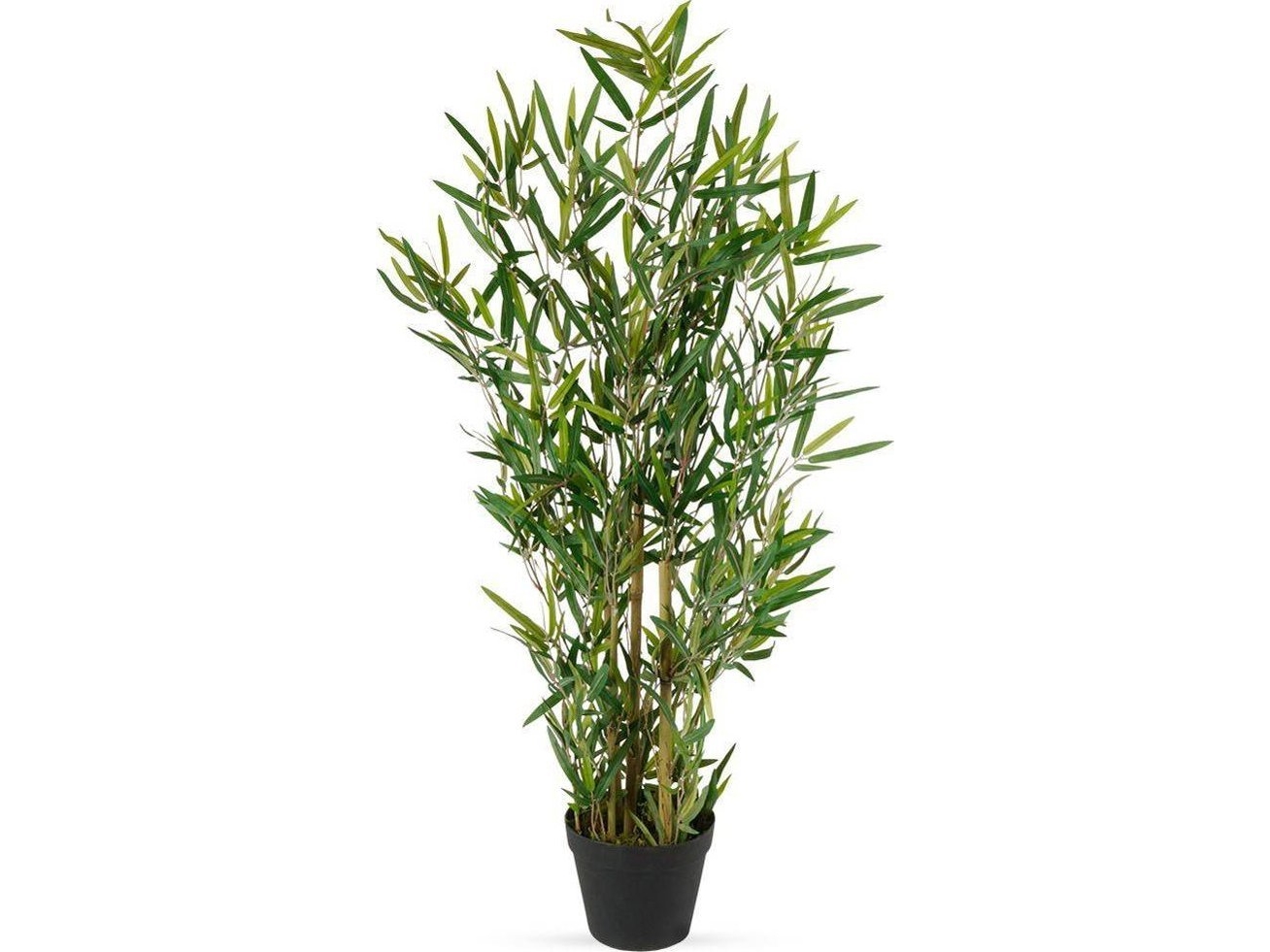 Vilde Tekokasvi ruukussa koristeellinen / pitkä puu bambu 97 cm