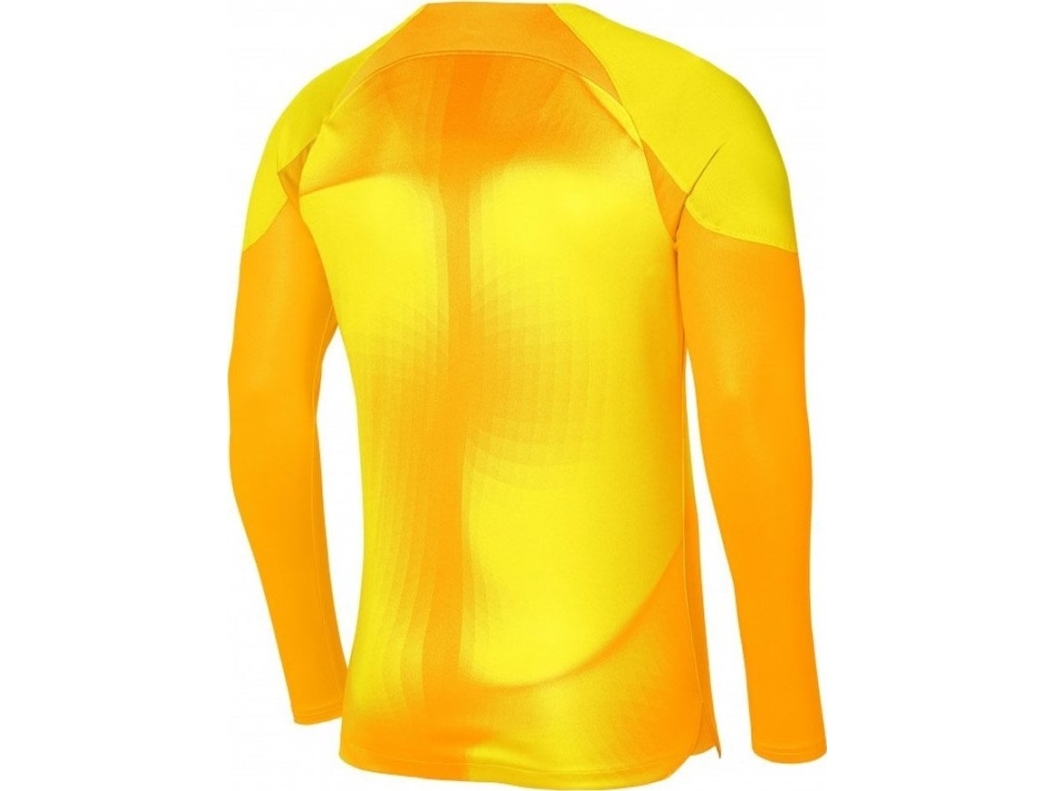 Nike Bluza Nike Gardien Iv Goalkeeper Jsy Dh7967 719