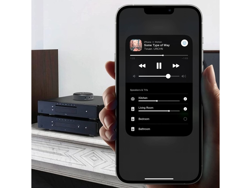 Arylic ARYLIC WiiM Mini netværksstreamer Hi-RES multimedieafspiller