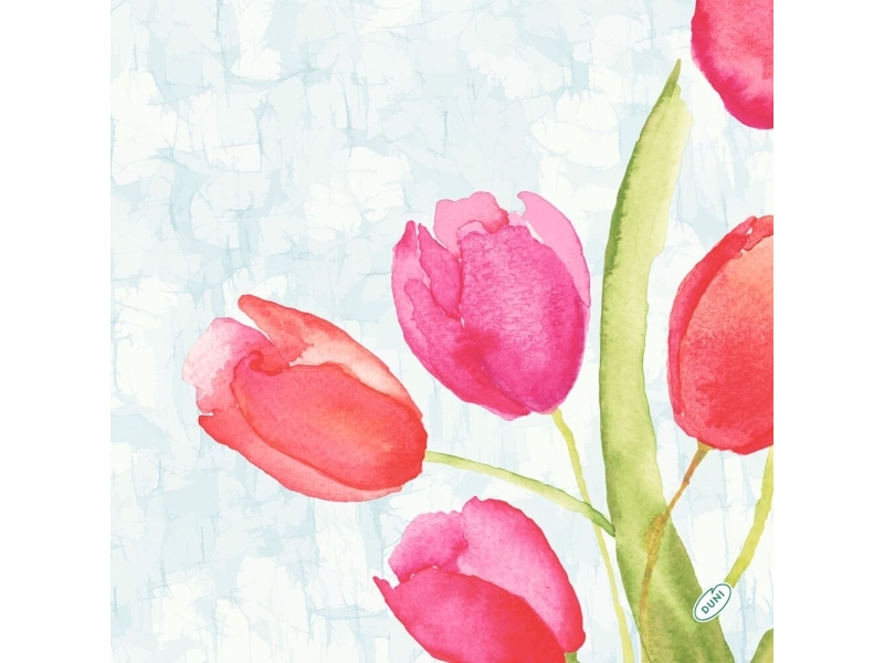 Serviet Bio Dunisoft 40X40cm Painted Tulips,60 Stk/Pk