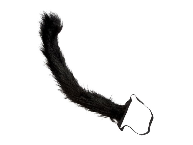 Schwarzer Katzenschwanz