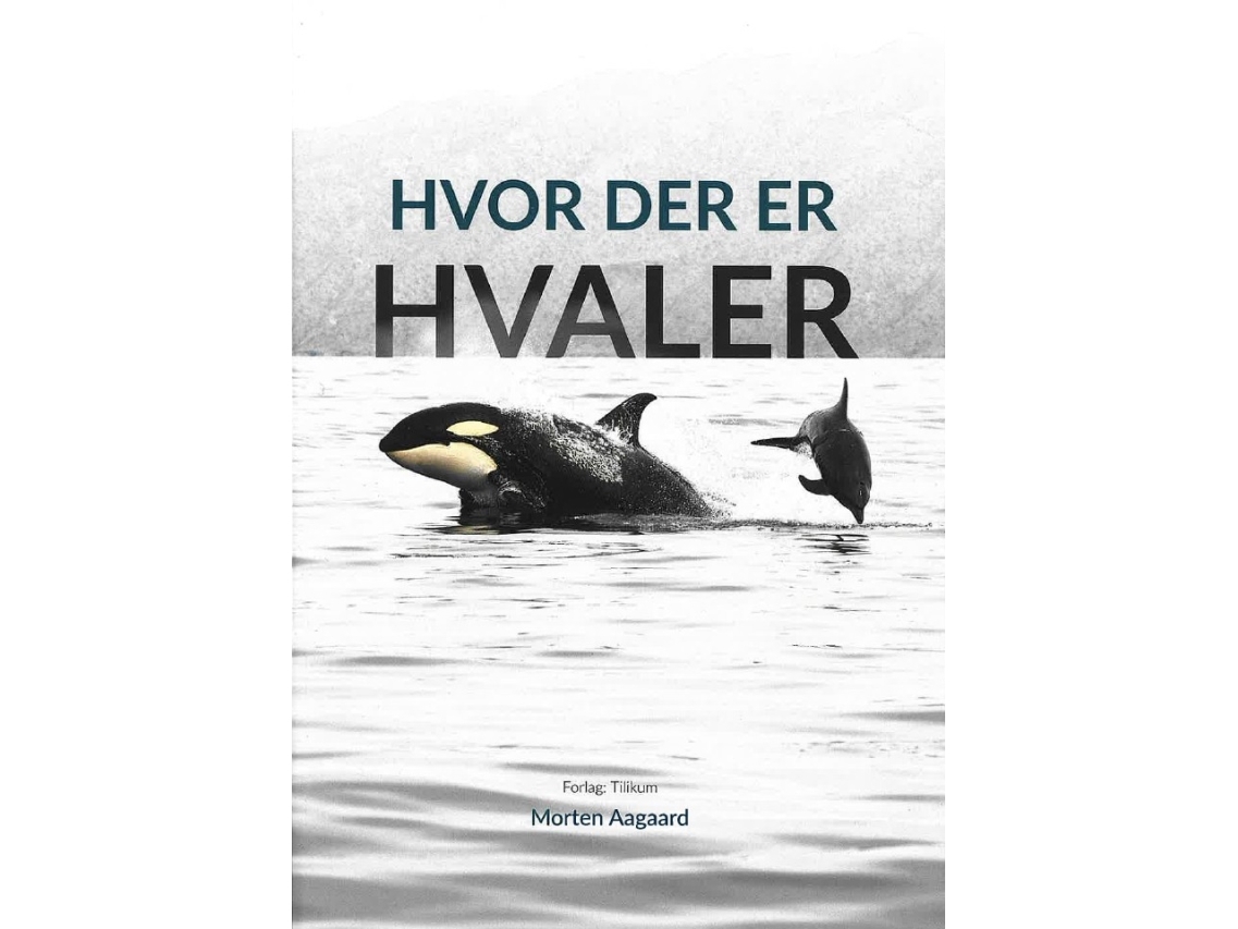 Hvor Der Er Hvaler | Morten Aagaard