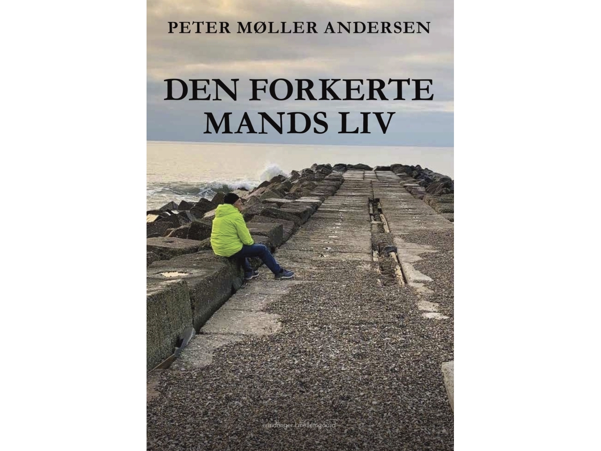 Das Leben Des Falschen Mannes | Peter Møller Andersen | Sprache: Dänish