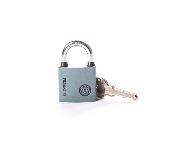 Blossom Padlock Bc2932