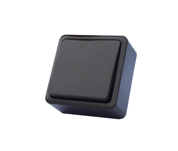 Vilma Switch P110-010V Ov Plast 1But Anthr Sl+