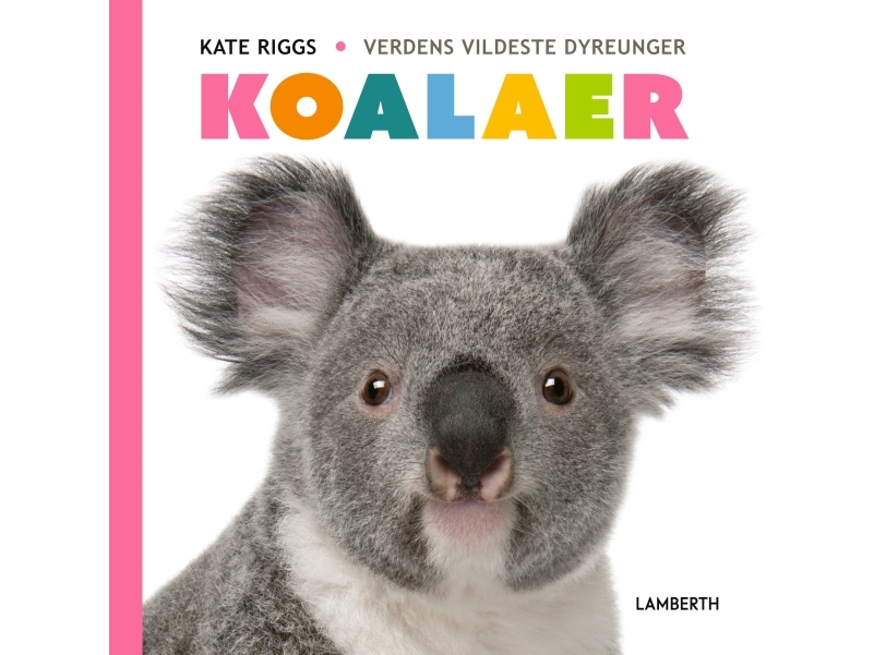 Koalaer | Kate Riggs
