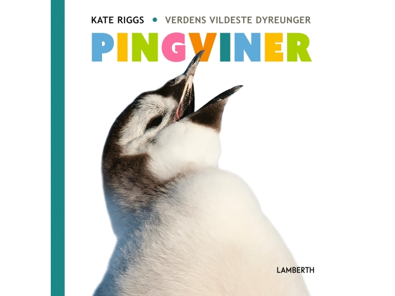 Pingviner | Kate Riggs
