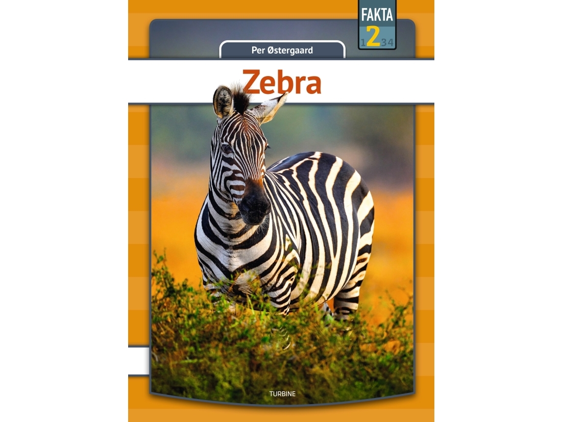 Zebra | Per Østergaard | Sprache: Dänish