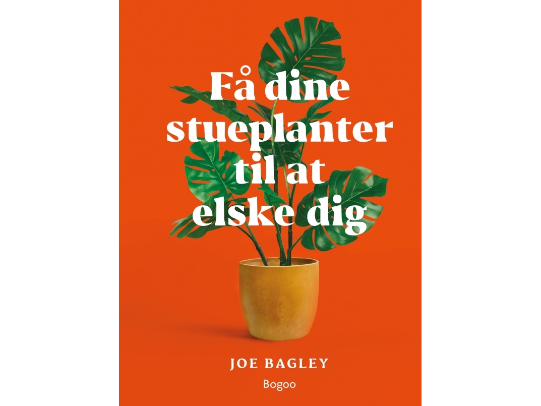 Få dine stueplanter til at elske dig | Joe Bagley