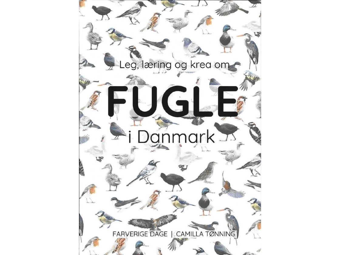 Leg, Læring Og Krea Om Fugle I Danmark | Camilla Tønning