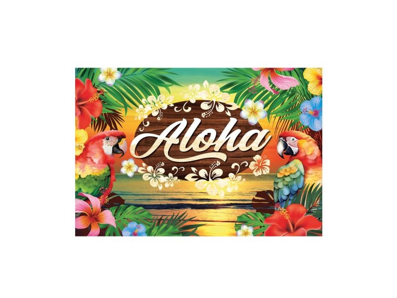Hawaii Aloha-Banner