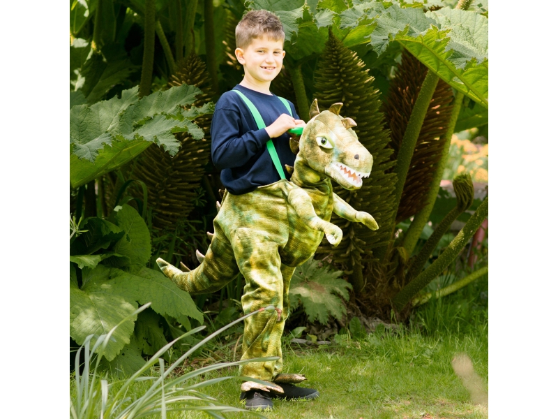 Dinosaur Piggy Back Kostume, Barn