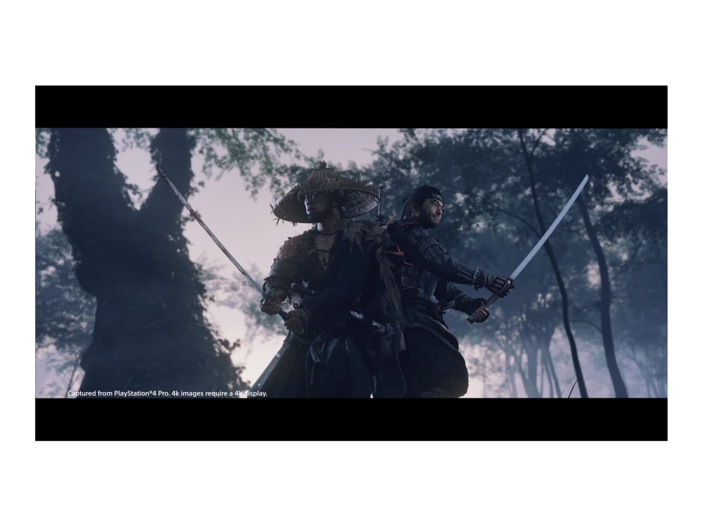 Ghost of Tsushima Directors Cut - PlayStation 5 | Spel - Spel - Playstation 5 | GameStuff