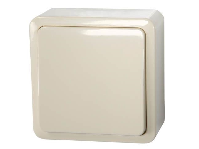 Vilma Surface Mounted Universal Switch