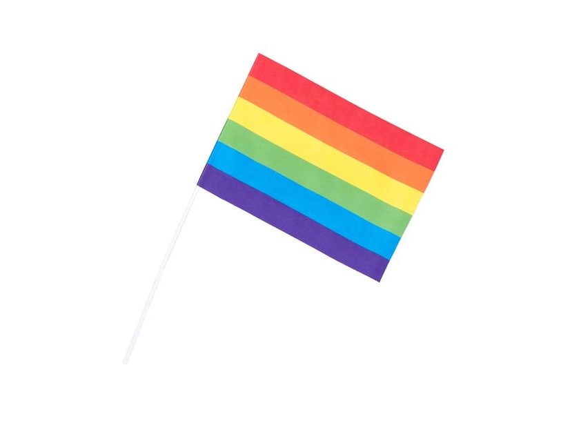 Regnbue Flag På Pind A5