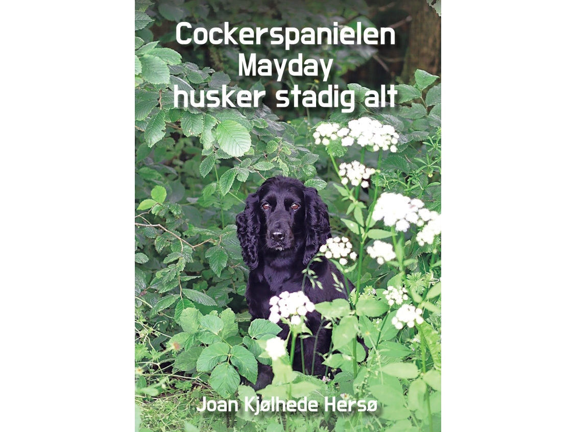 Cockerspanielen Mayday husker stadig alt Joan Kjølhede Hersø Språk: Danska | Böcker - Hus, Trädgård & Husdjur - Hundar | GameStuff