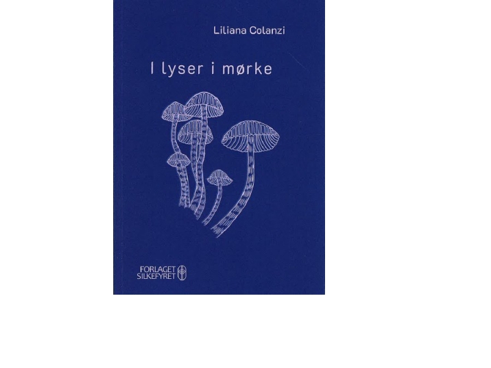 Du Leuchtest Im Dunkeln | Liliana Colanzi | Sprache: Dänish