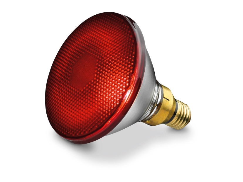 Infraröd glödlampa 150 W | N - A | GameStuff