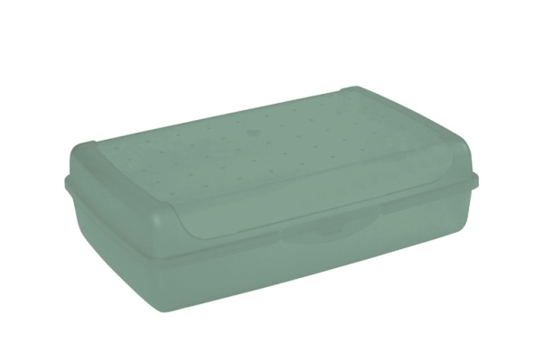 Partikas Uzglabasanas Trauks Click-Box Maxi 3 7L Luca 30X20x8 5Cm As 4052396081398