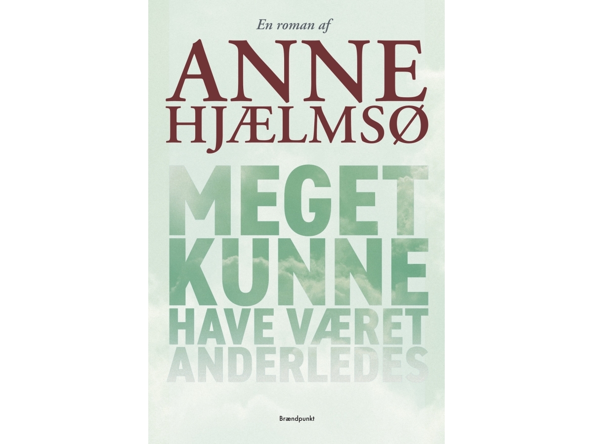 Vieles Hätte Anders Sein Können | Anne Hjælmsø | Sprache: Dänish