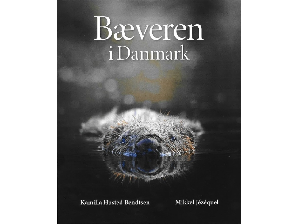 Bæveren i Danmark | Kamilla Husted Bendtsen, Mikkel Jézéquel