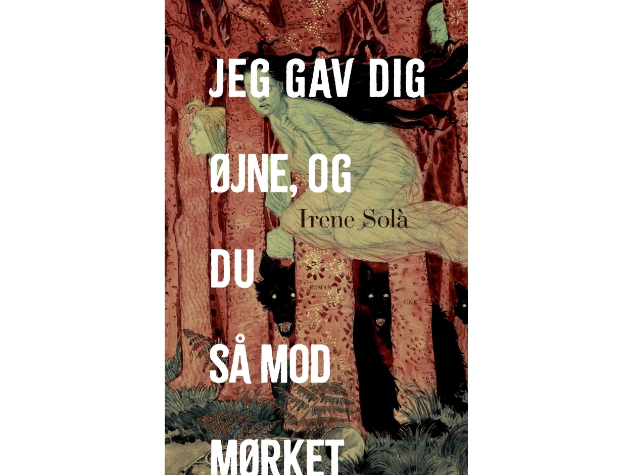 Ich Gab Dir Augen Und Du Sahst In Die Dunkelheit | Irene Solà | Sprache: Dänish