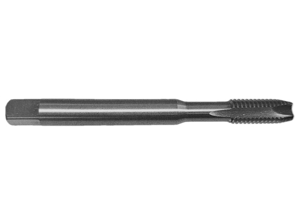 Thread Tap Hss Din371 M12 Ptg