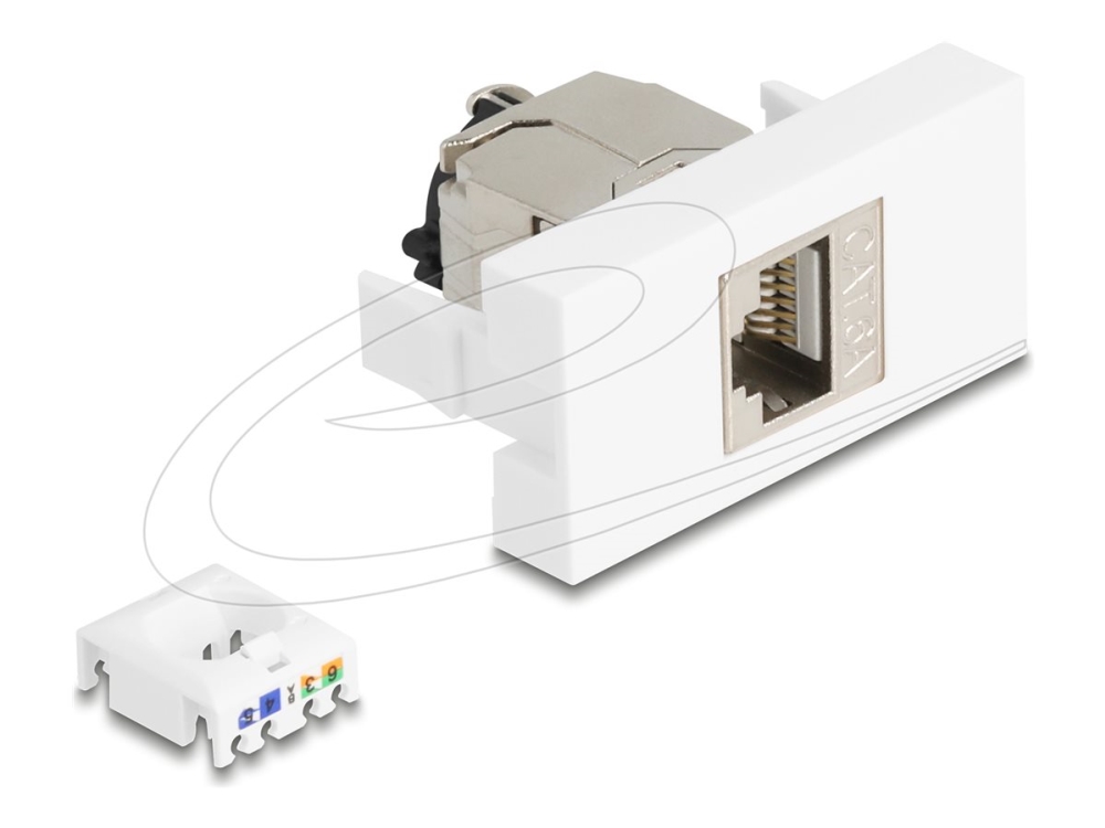 Delock - Easy 45 - Klik I-Modul - Cat 6A, Stp, Med Låseklemme Og Uden Kabelbind - Rj 45 - 1 Gang - Hvid, Sølv